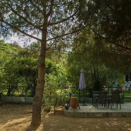 The L Villa *